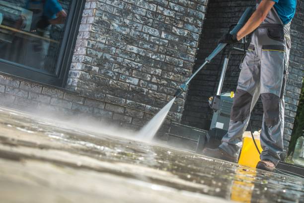 Best Soft Washing  in Redwood Falls, MN