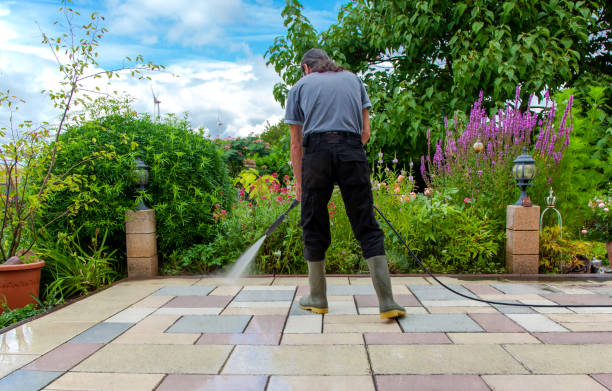 Best Driveway Pressure Washing  in Redwood Falls, MN
